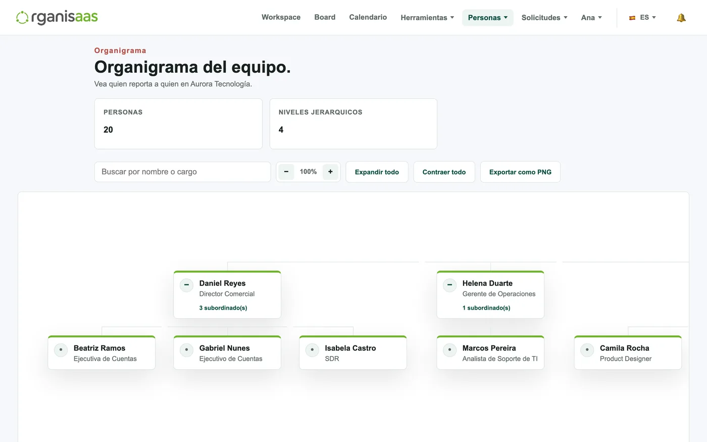 Organigrama visual de la empresa